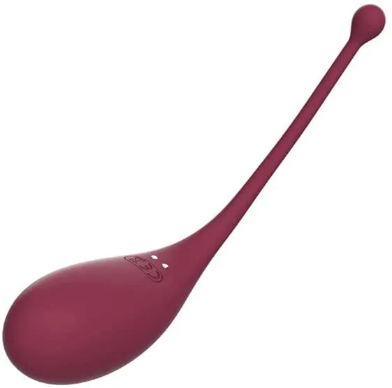 Adrien Lastic Inspiration Clitoral Stimulator  Vibrating Egg APP Control Sex Toy