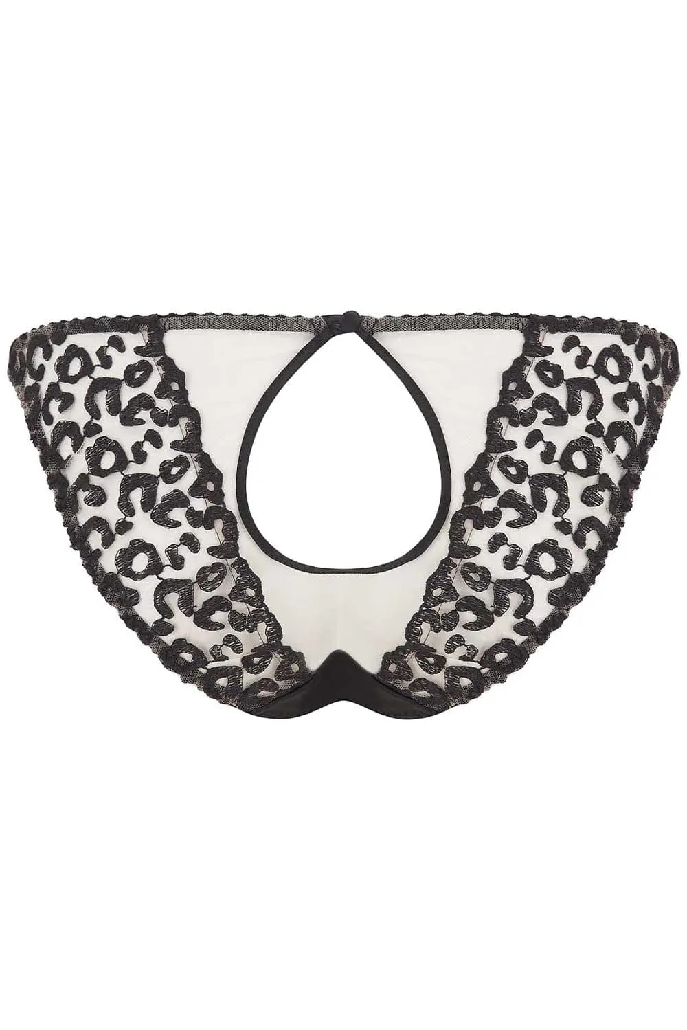 Kittie Ouvert Brief